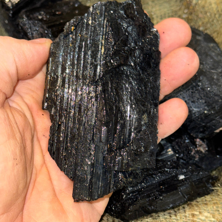 HIGH END (Large) Black Tourmaline Rough (By the Pound)