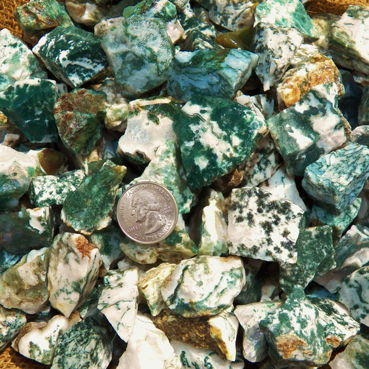 Green Tree Agate Rough (By the Pound)