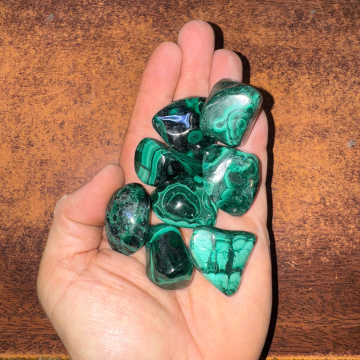 Polished Malachite - 1/2 LB Lot
