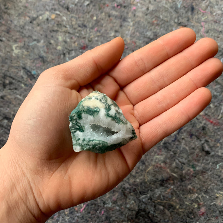 Charged Green Tree Agate Single Stone
