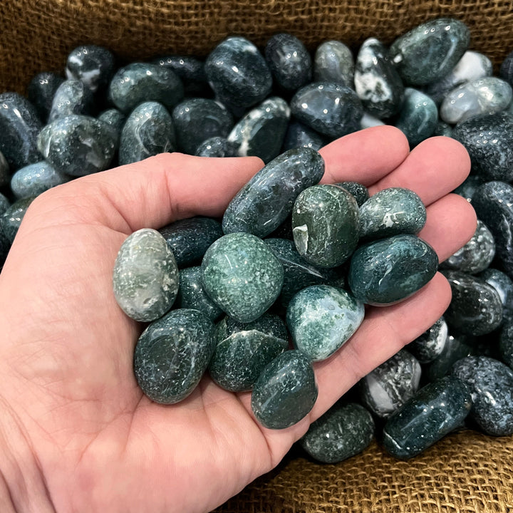 Polished Green Moss Agate - 1/2 LB