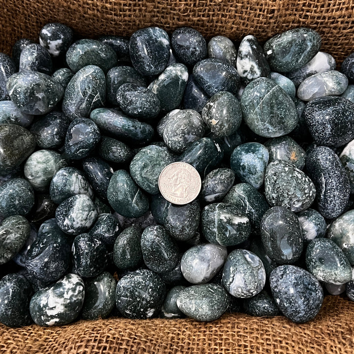 Polished Green Moss Agate - 1/2 LB