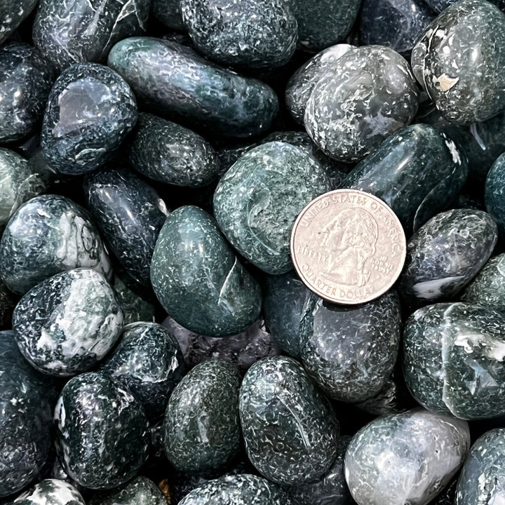 Polished Green Moss Agate - 1/2 LB