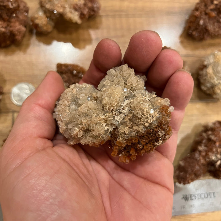 Aragonite Rough Specimen (approx. 0.25 lbs)