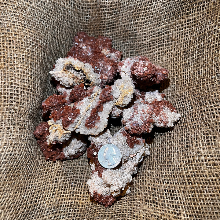 Aragonite Rough (LARGE) (By the Pound)