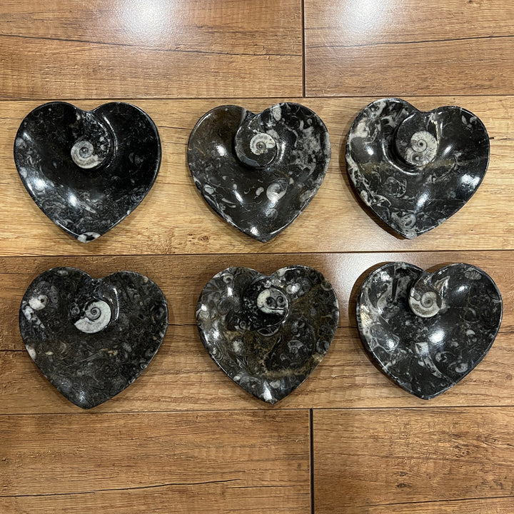 Black Orthoceras & Ammonite Fossil Heart Dish/Bowl (~4.5")