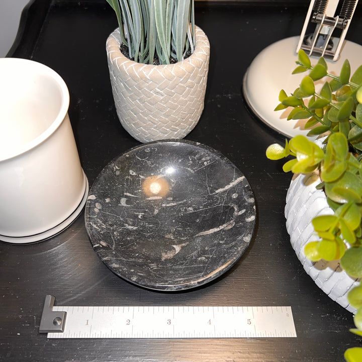 Black Orthoceras Fossil Dish/Bowl (~4")