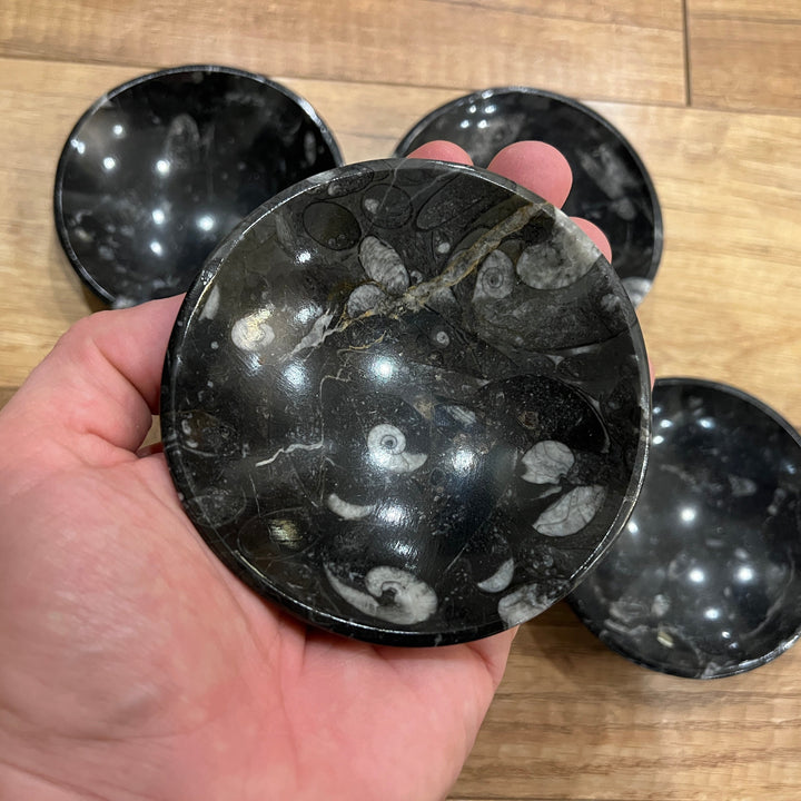 Black Orthoceras Fossil Dish/Bowl (~4.5")