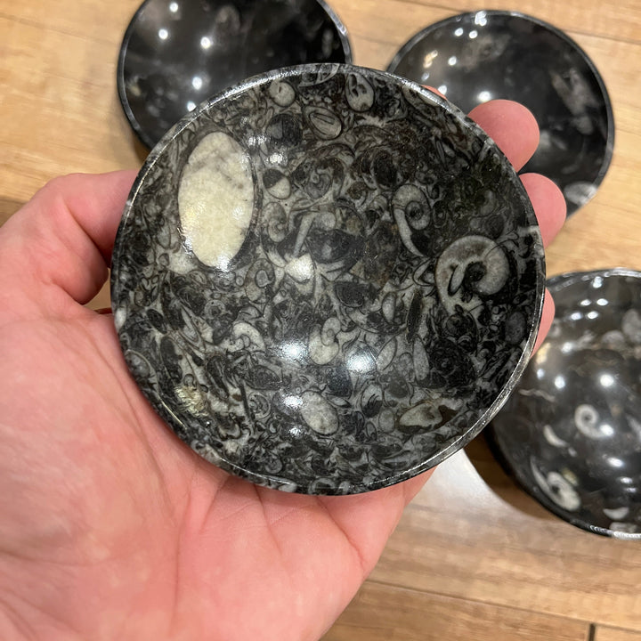 Black Orthoceras Fossil Dish/Bowl (~4.5")