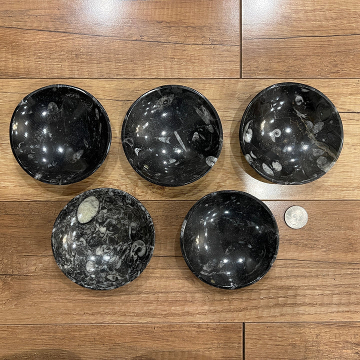 Black Orthoceras Fossil Dish/Bowl (~4.5")
