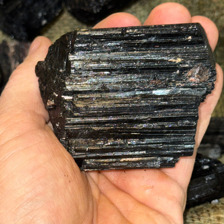 HIGH END (Large) Black Tourmaline Rough (By the Pound)