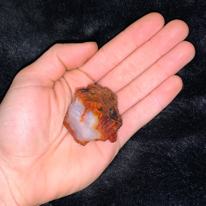 Charged Carnelian Single Stone