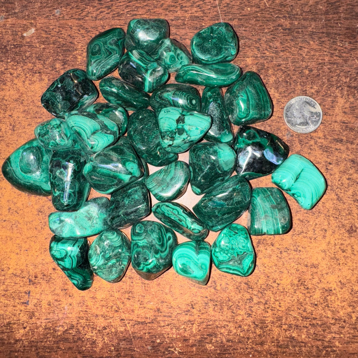 Polished Malachite - 1/2 LB Lot