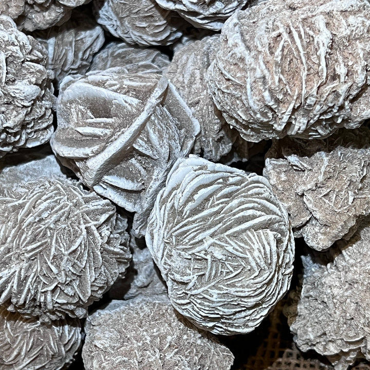 Selenite Desert Rose (LARGE) (By the Pound)
