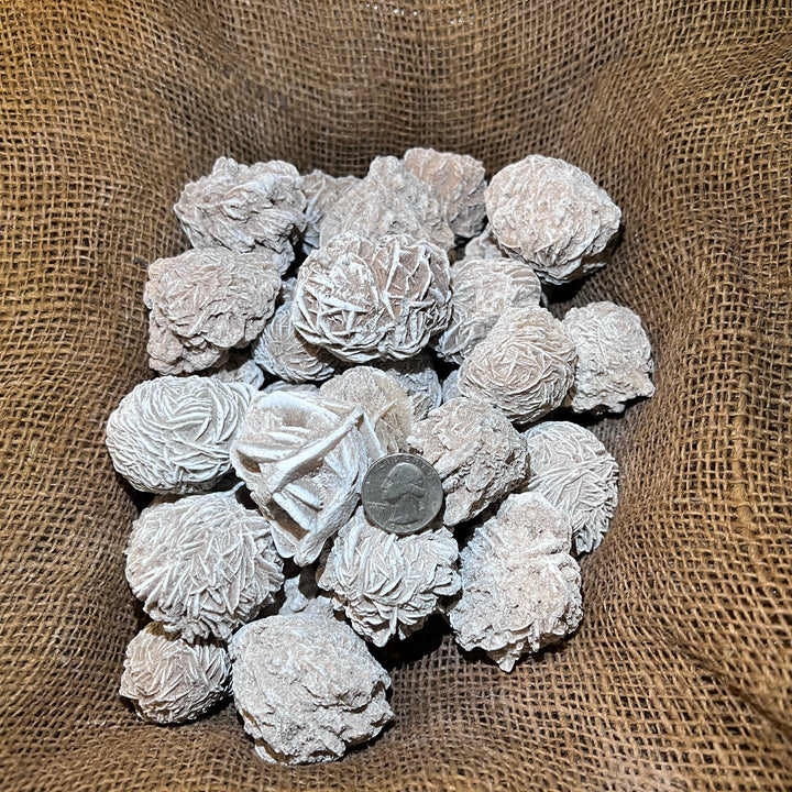 Selenite Desert Rose (LARGE) (By the Pound)