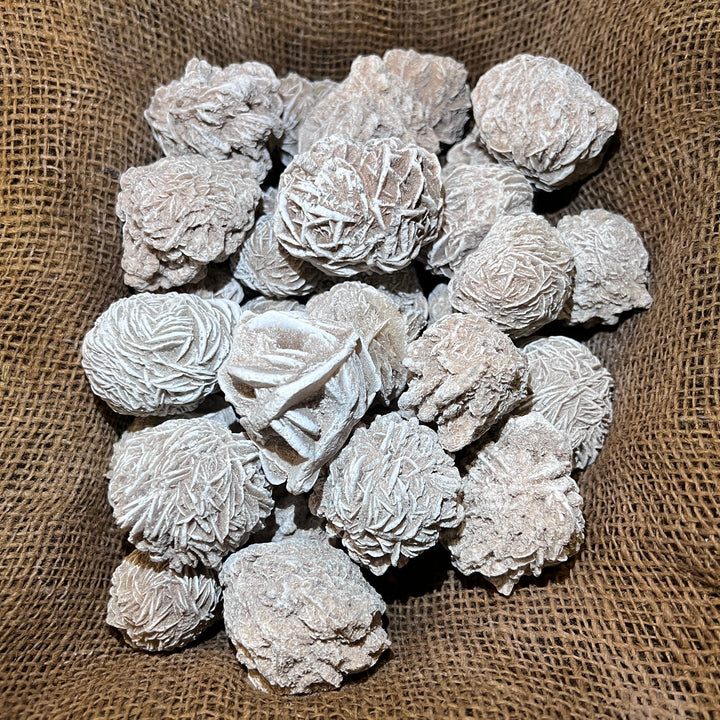 Selenite Desert Rose (LARGE) (By the Pound)