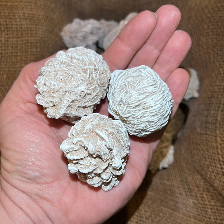 Selenite Desert Rose (LARGE) (By the Pound)