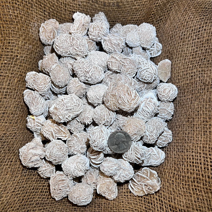 Selenite Desert Rose (By the Pound)