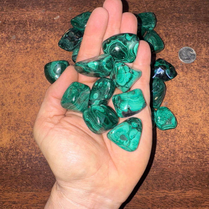 Polished Malachite - 1/2 LB Lot