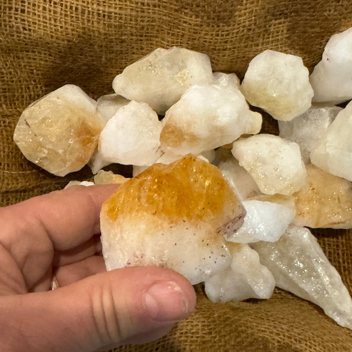 Citrine Points Rough Extra (LARGE) (By the Pound)