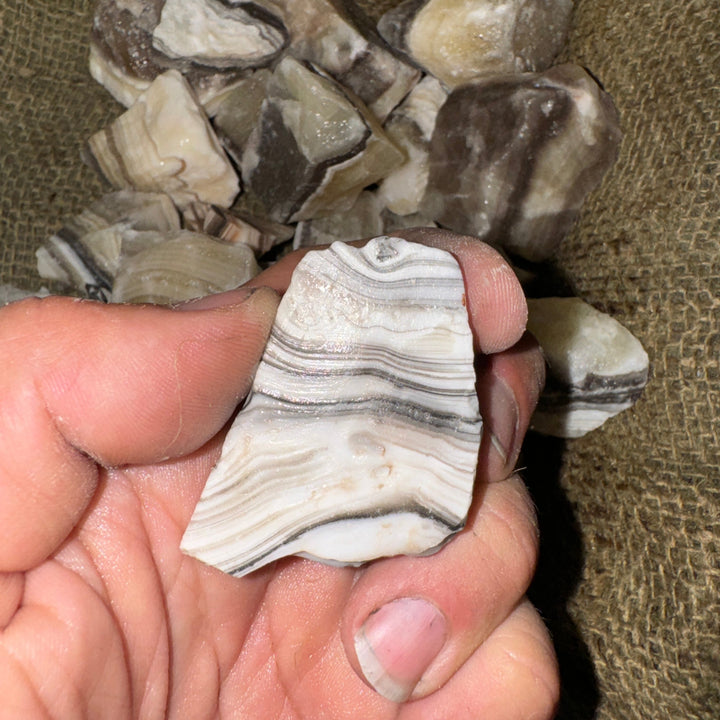 Zebra Calcite Rough (LARGE) (By the Pound)