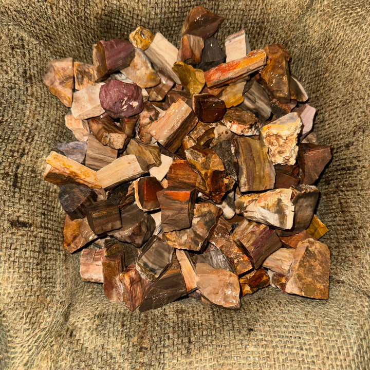 Petrified Wood Rough (By the Pound)