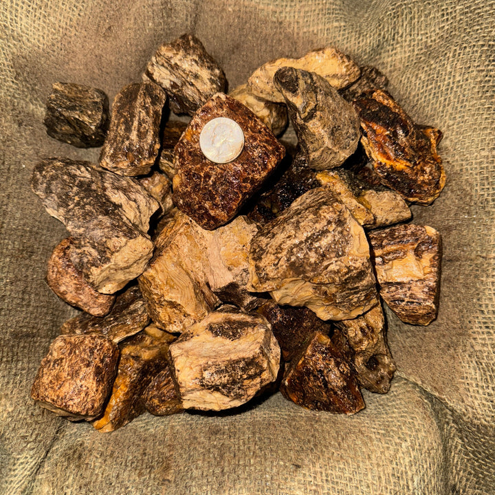 Amber Rough (LARGE) (By the Pound)