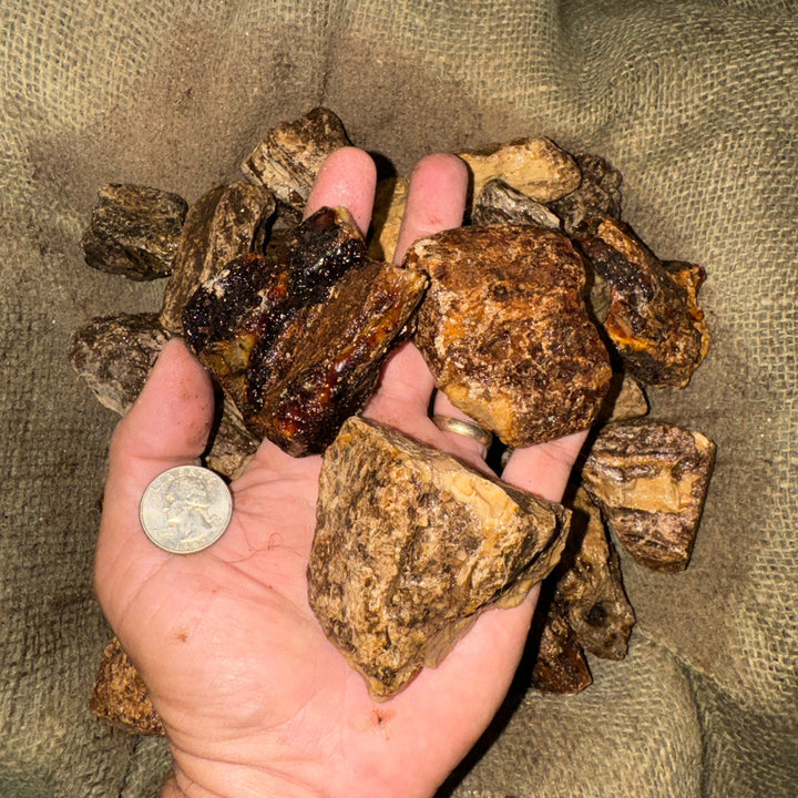 Amber Rough (LARGE) (By the Pound)