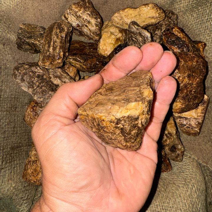Amber Rough (LARGE) (By the Pound)