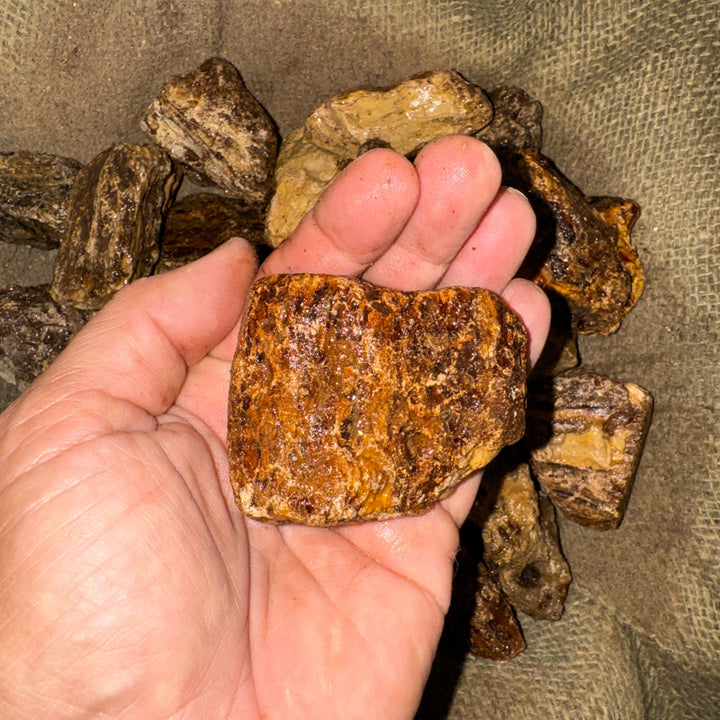 Amber Rough (LARGE) (By the Pound)