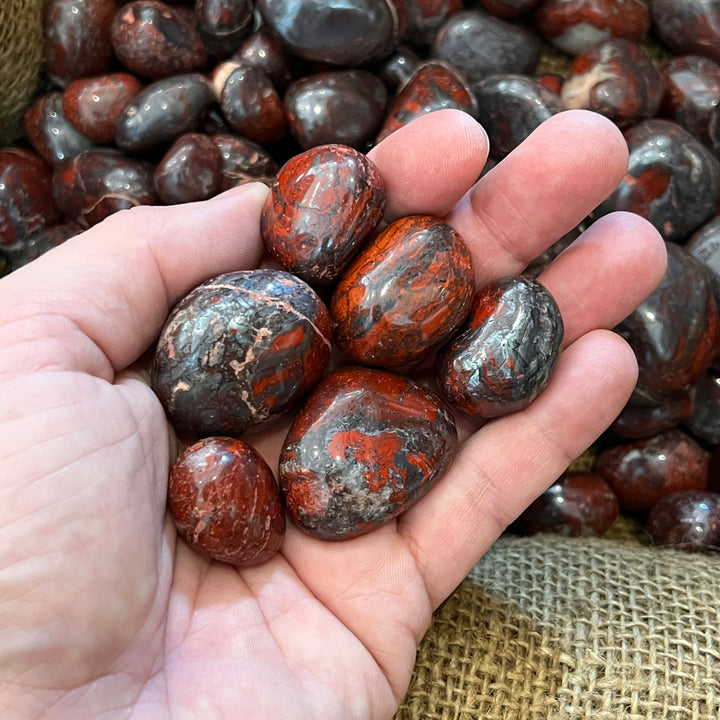 Polished Brecciated Jasper (LARGE) - 1/2 LB