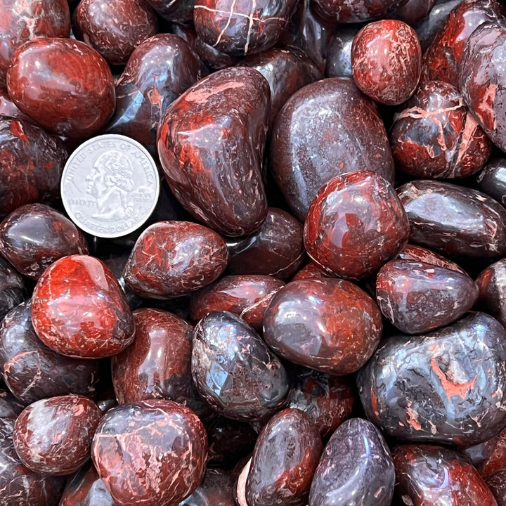Polished Brecciated Jasper (LARGE) - 1/2 LB