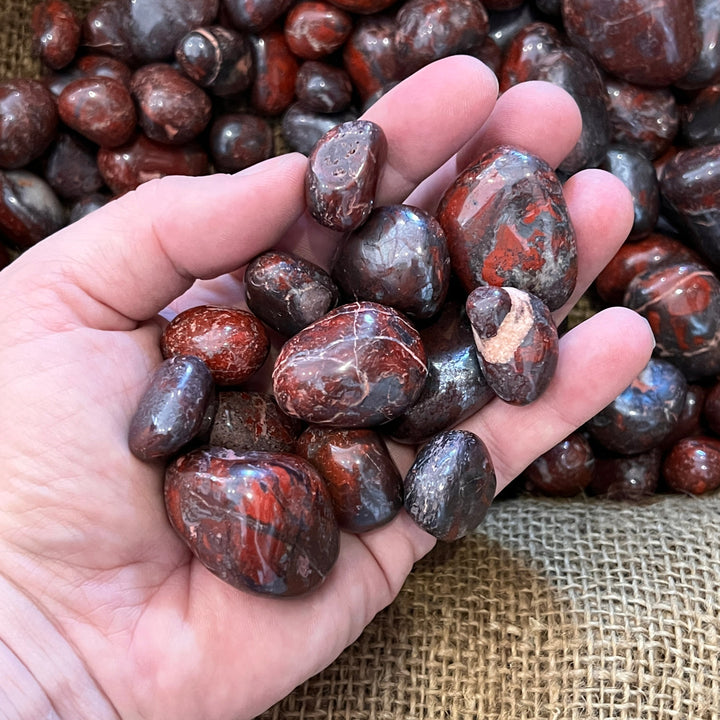 Polished Brecciated Jasper (LARGE) - 1/2 LB