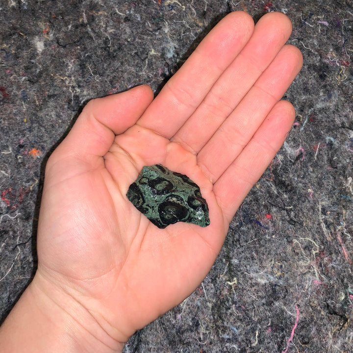Charged Crocodile Jasper Single Stone