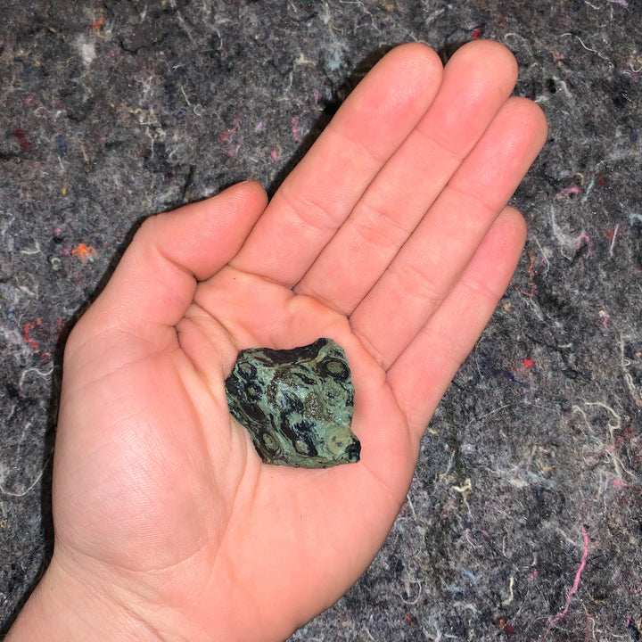 Charged Crocodile Jasper Single Stone