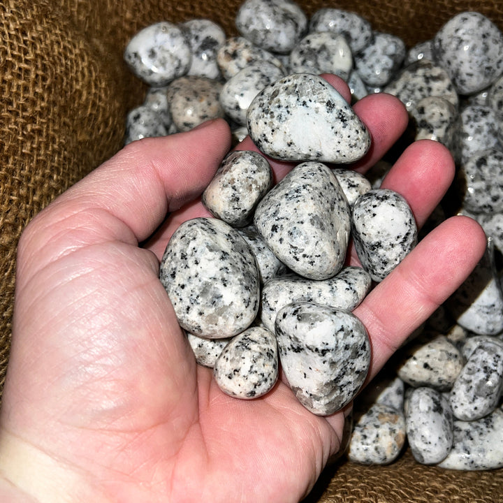 Polished Dalmatian Jasper - 1/2 LB