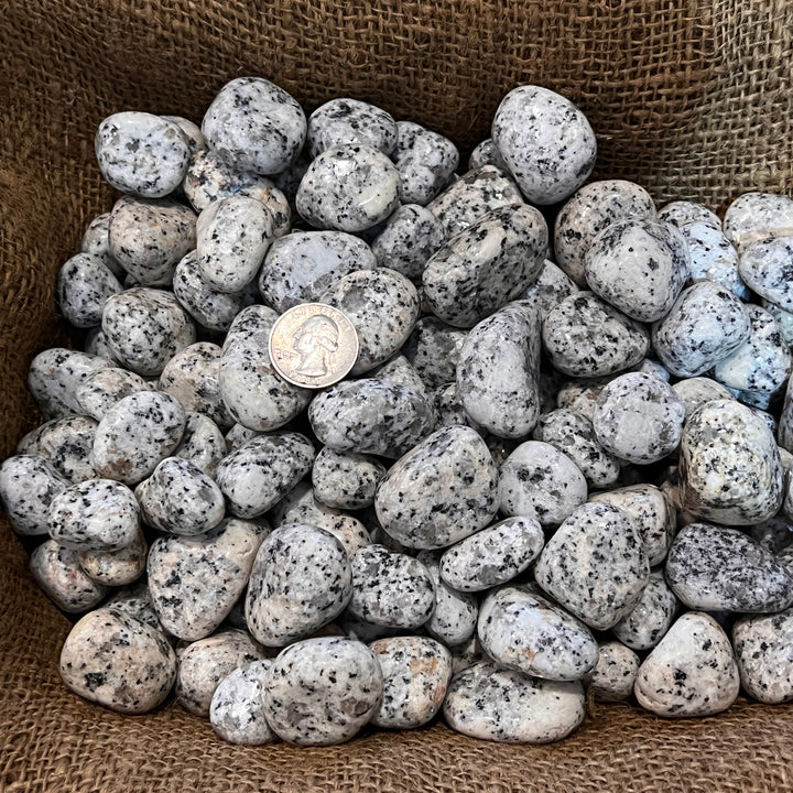 Polished Dalmatian Jasper - 1/2 LB