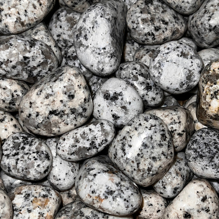 Polished Dalmatian Jasper - 1/2 LB