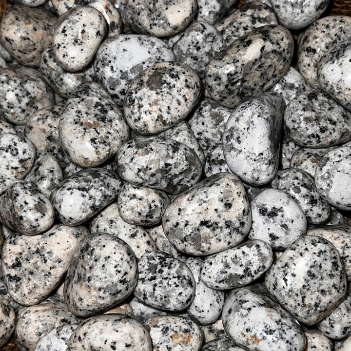 Polished Dalmatian Jasper - 1/2 LB