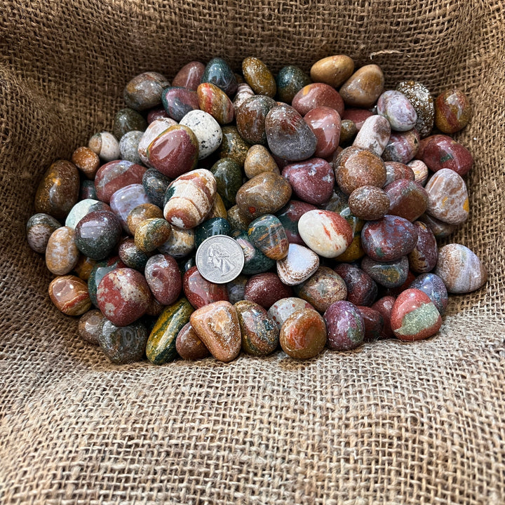 Polished Fancy Jasper - 1/2 LB