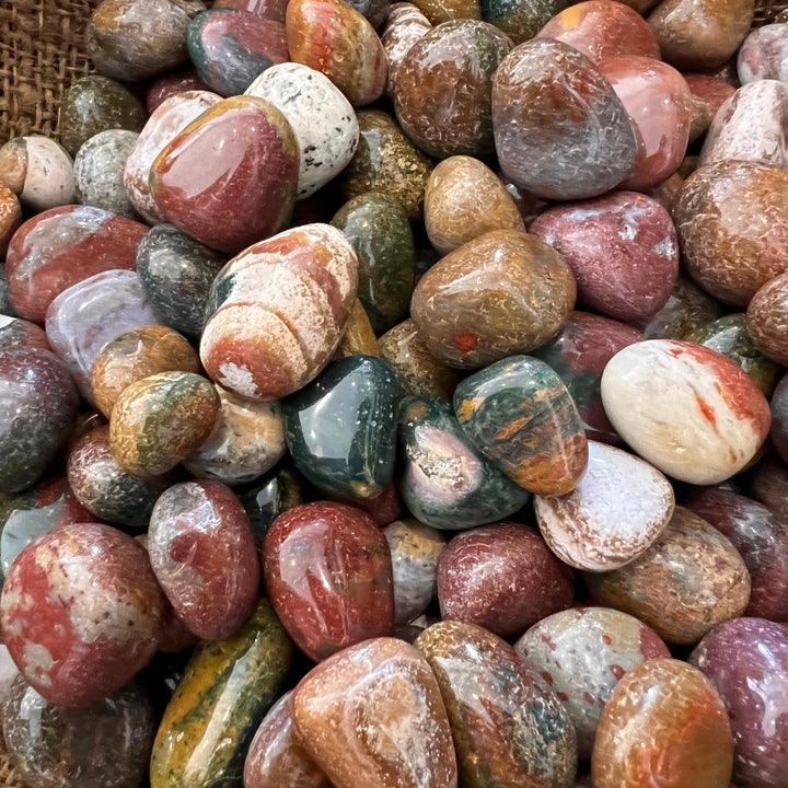 Polished Fancy Jasper - 1/2 LB