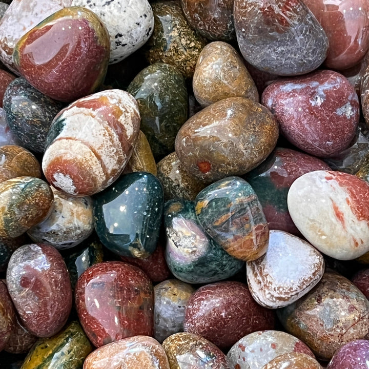 Polished Fancy Jasper - 1/2 LB