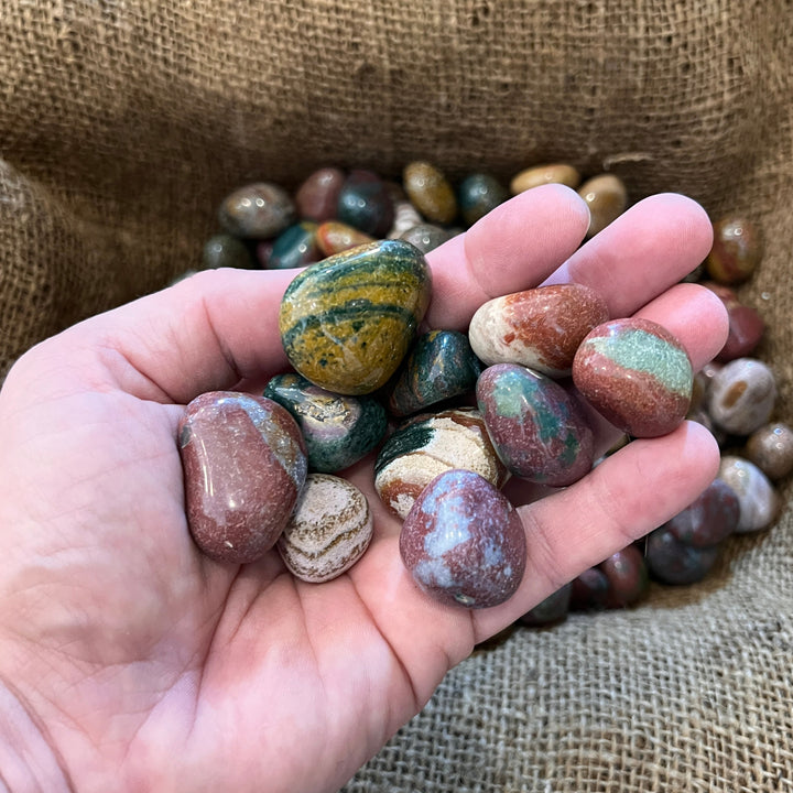 Polished Fancy Jasper - 1/2 LB
