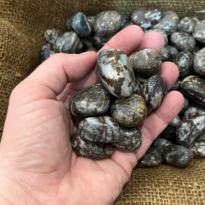 Polished Panther Jasper - 1/2 LB