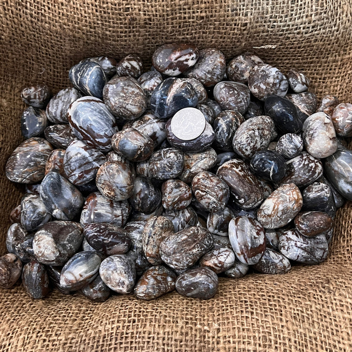 Polished Panther Jasper - 1/2 LB