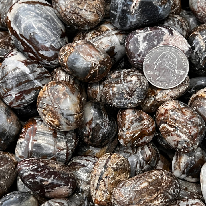 Polished Panther Jasper - 1/2 LB