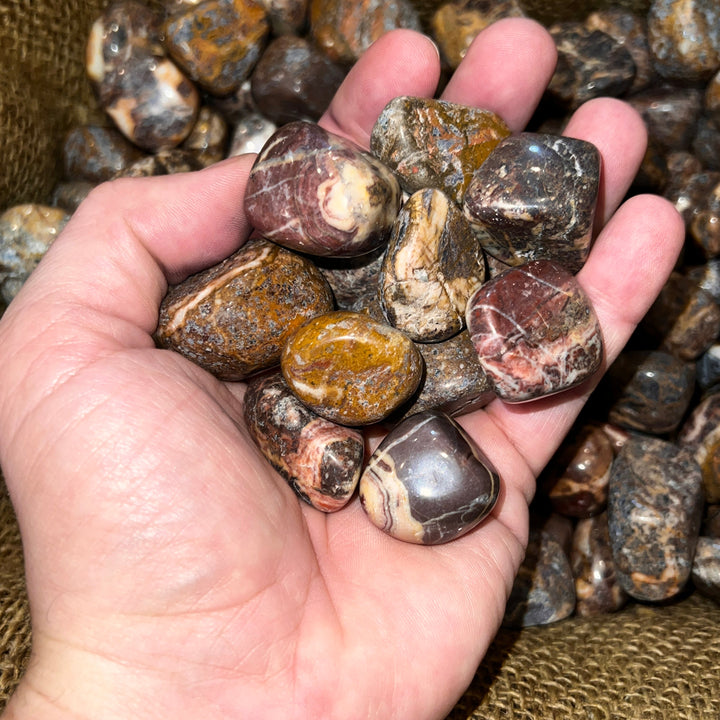 Polished Picasso Jasper - 1/2 LB