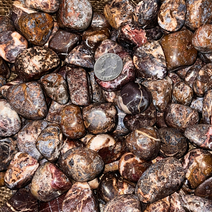 Polished Picasso Jasper - 1/2 LB