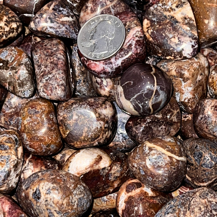 Polished Picasso Jasper - 1/2 LB
