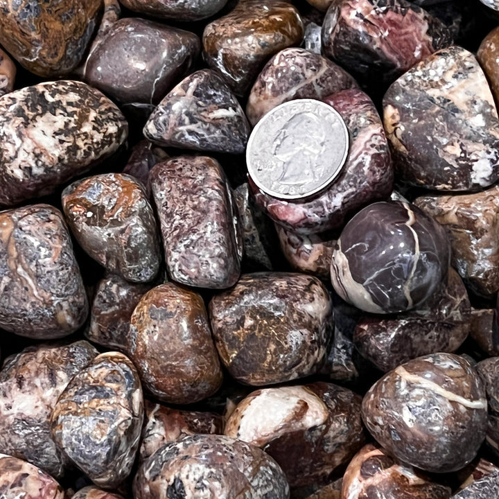 Polished Picasso Jasper - 1/2 LB